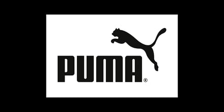 PUMA vs. PUMA-System: de link met een bekend merk
